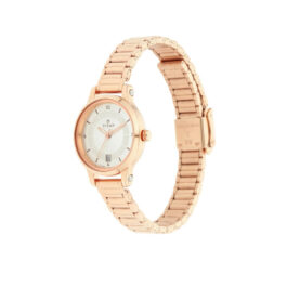 TITAN SILVER DIAL ANALOG ROSE GOLD STAINLESS STEEL WATCH FOR WOMEN 2602WM01