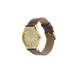 SONATA ESSENTIALS GOLD DIAL WATCH FOR MEN 77082YL01