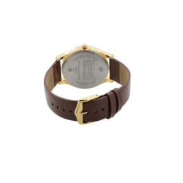 SONATA ESSENTIALS GOLD DIAL WATCH FOR MEN 77082YL01