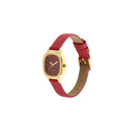 SONATA RED DIAL ANALOG WATCH FOR WOMEN 8060YL03